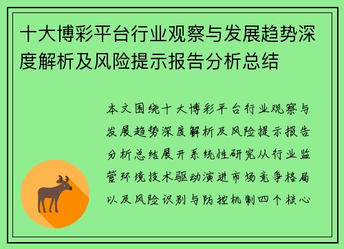 十大博彩平台行业观察与发展趋势深度解析及风险提示报告分析总结